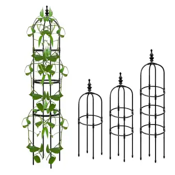 Клетки для растений на открытом воздухе, Устойчивая к коррозии Решетка для вьющихся растений, Подставка для домашнего декора Для газона, крыльца, балкона, сада, патио для